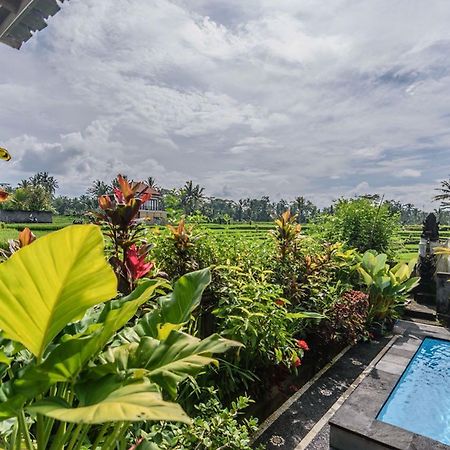 Pondok Anastasia Ubud Eksteriør billede