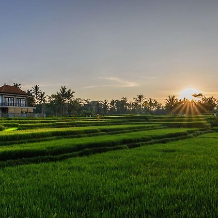 Pondok Anastasia Ubud Eksteriør billede