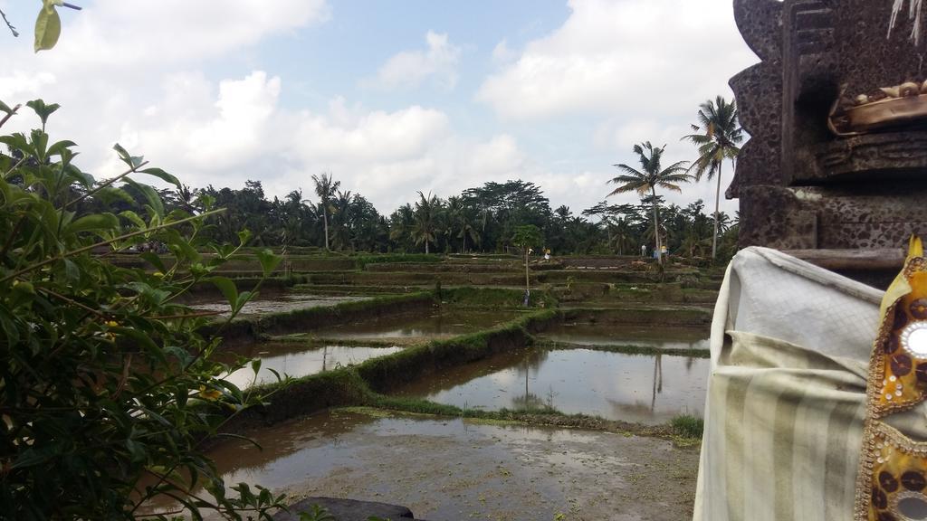Pondok Anastasia Ubud Eksteriør billede