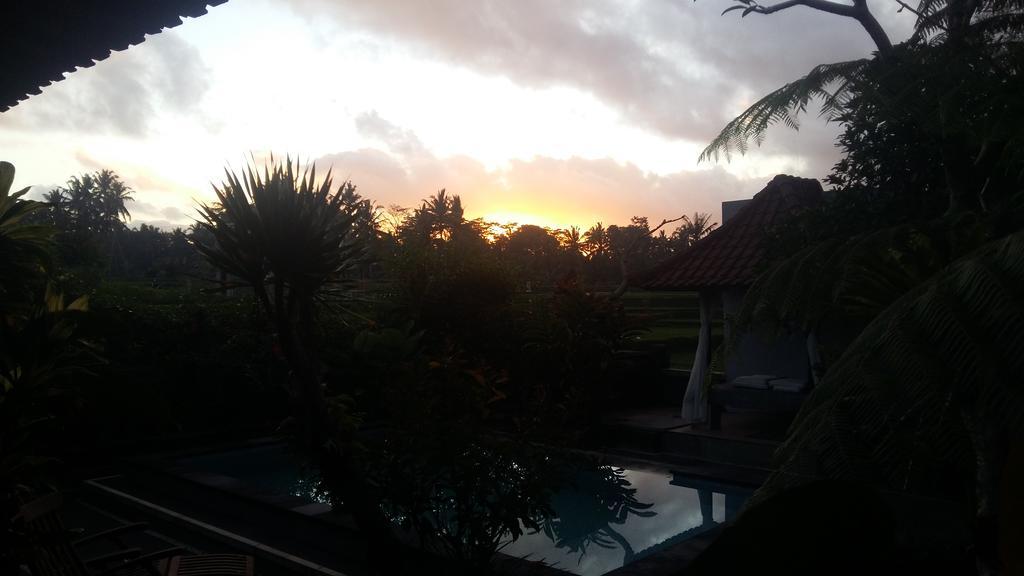 Pondok Anastasia Ubud Eksteriør billede