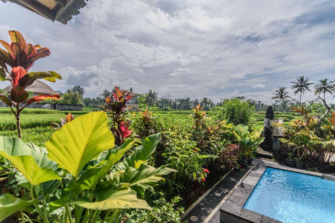 Pondok Anastasia Ubud Eksteriør billede