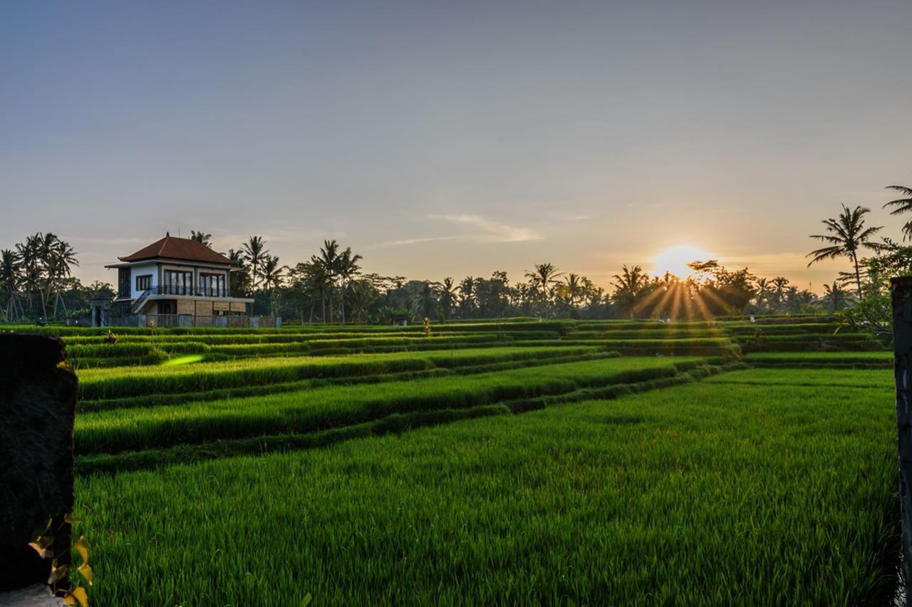 Pondok Anastasia Ubud Eksteriør billede