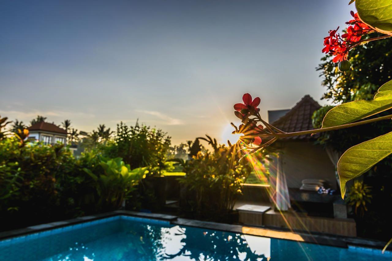 Pondok Anastasia Ubud Eksteriør billede